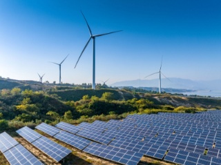 Managing competing sectoral demands for renewable energy resources in the transition to sustainable transport