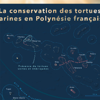 La conservation des tortues marines en Polynésie française
