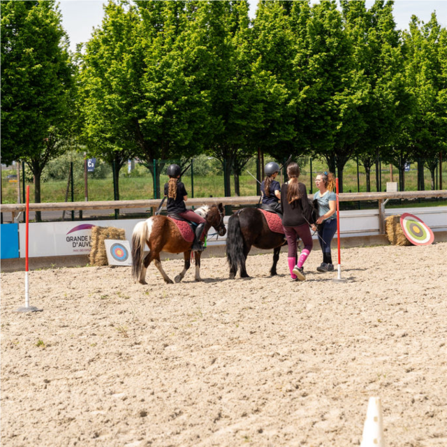Initiation sur un parcours type « Equifun » ouvert aux scolaires.