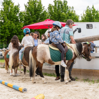 Baptême et découverte à pied du Poney pour le grand public .