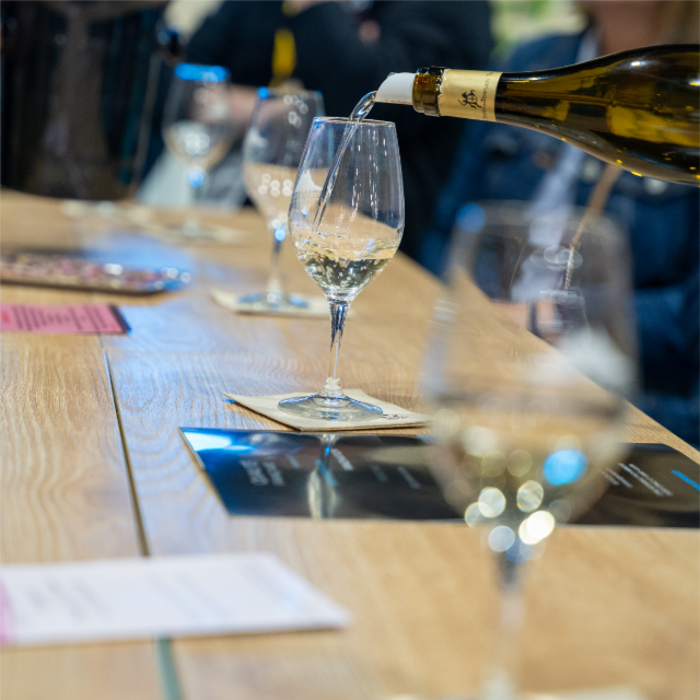 Dégustation : A la découverte des vins des exposants
