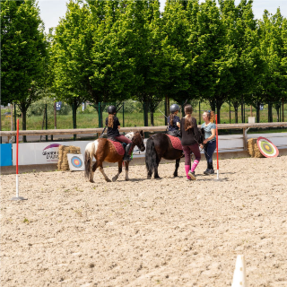 Initiation sur un parcours type « Equifun » ouvert aux scolaires.