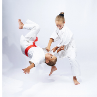Judo et Jujitsu