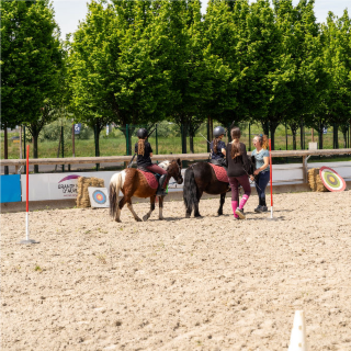 Parcours type « Equifun » ouvert au grand public 