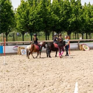 Démonstration de l'équipe élite de Pony Games 
