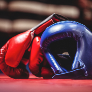 Savate Boxe Française