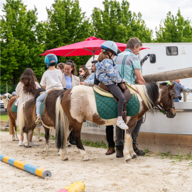 Approche du poney et initiation à poney 
