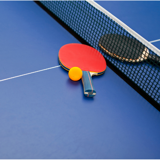 Tennis de table : jeu libre / initiation