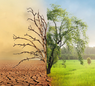 REFLECTING ON CLIMATE AND GENDER AT COP27: HOW CAN COMPANIES TAKE ACTION IN 2023 AND BEYOND?