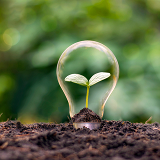 EARTH DAY 2022: THE WOMEN’S FORUM COMMITMENTS TO CLIMATE ACTION