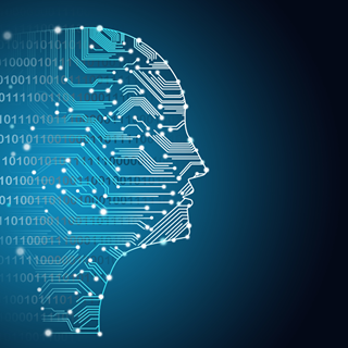 WHEN GOOD ALGORITHMS GO SEXIST: WHY AND HOW TO ADVANCE AI GENDER EQUITY
