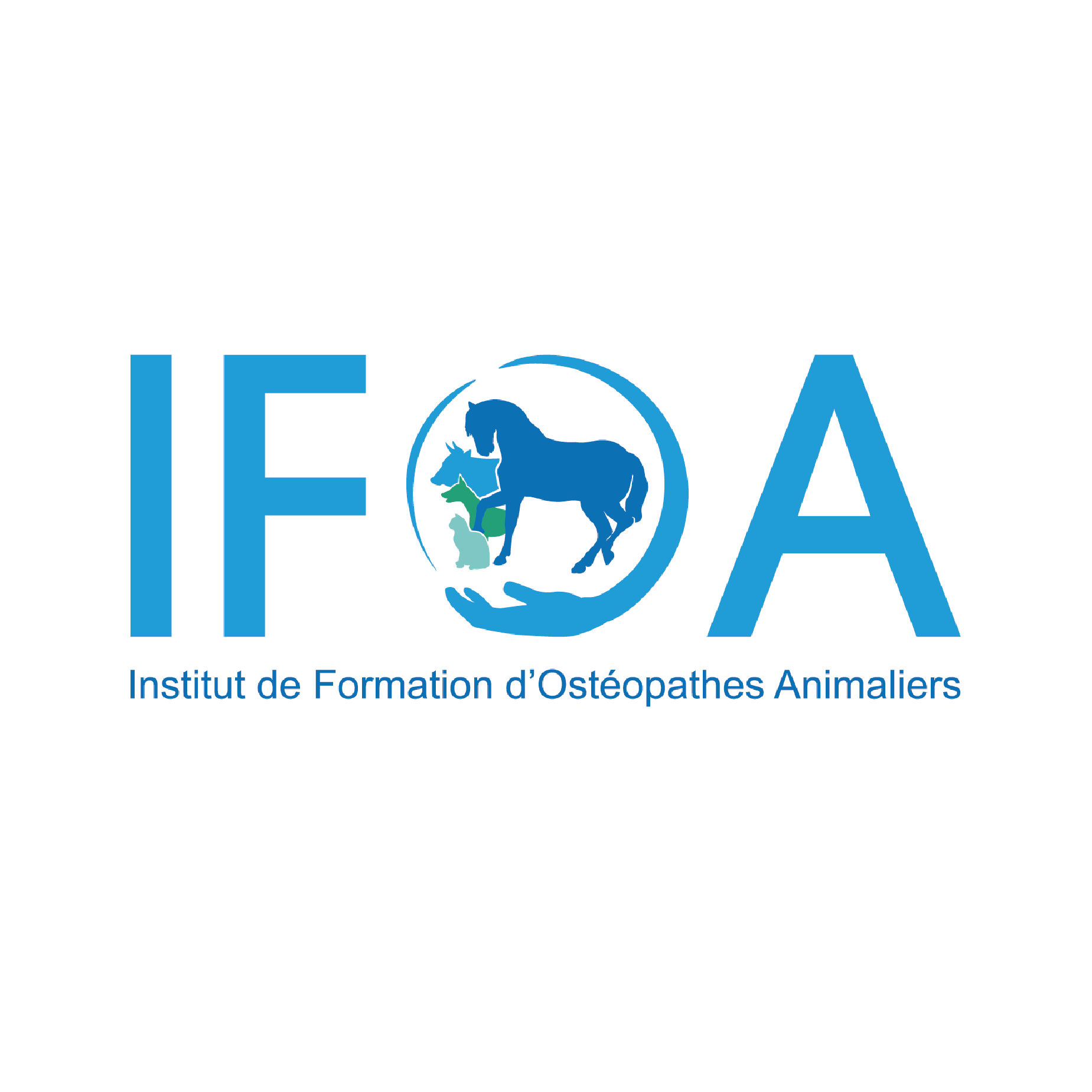 IFOA - Ecole d'ostéopathie animale