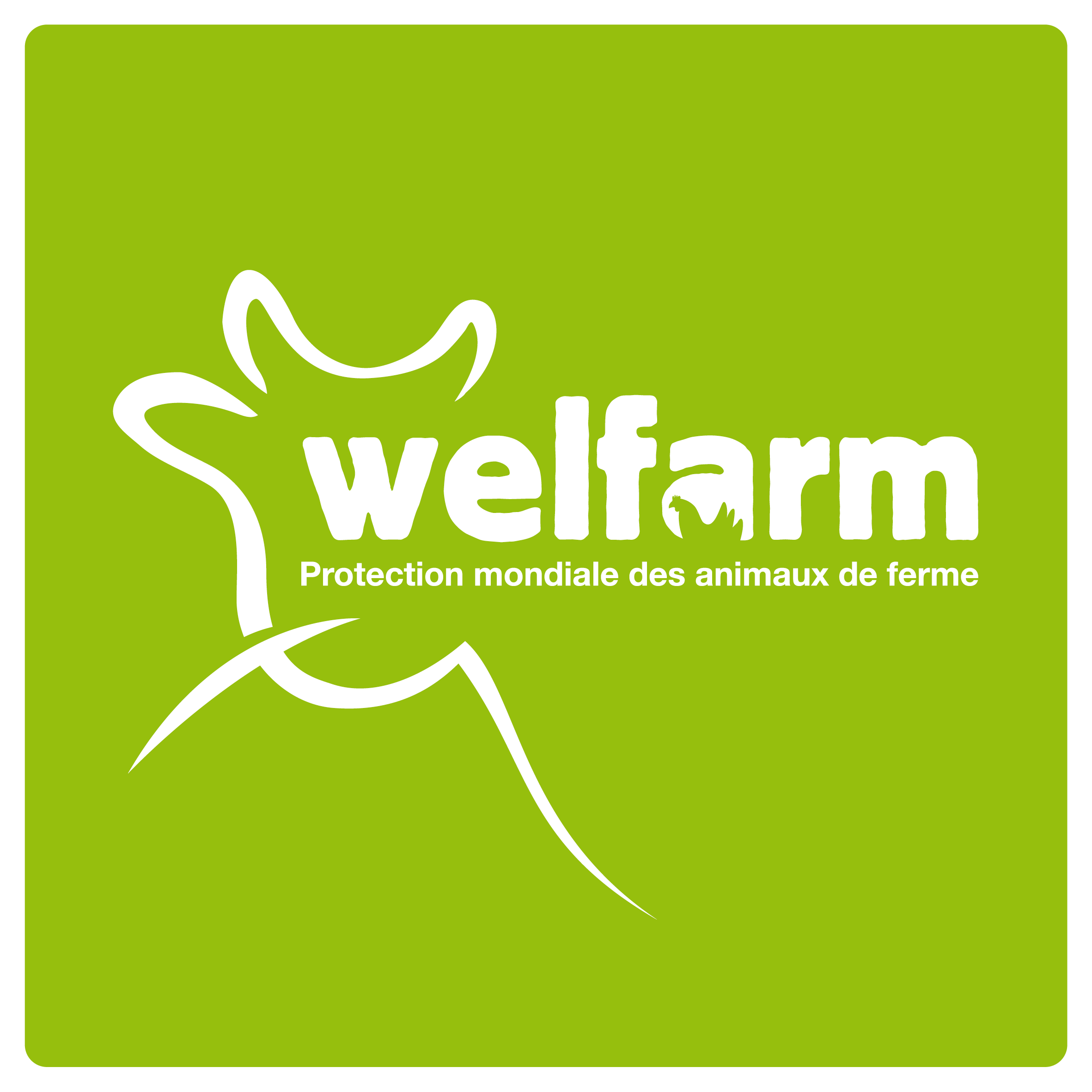 WELFARM- Protection mondiale des animaux de ferme