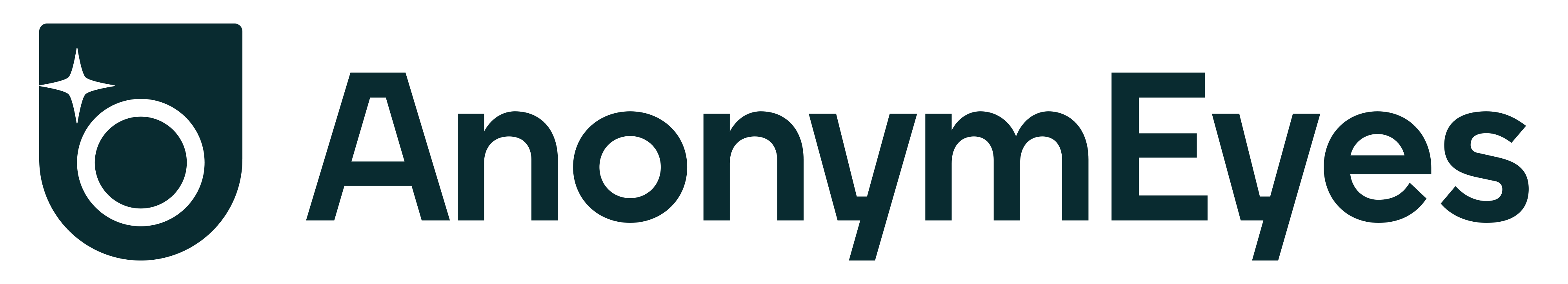 AnonymEyes