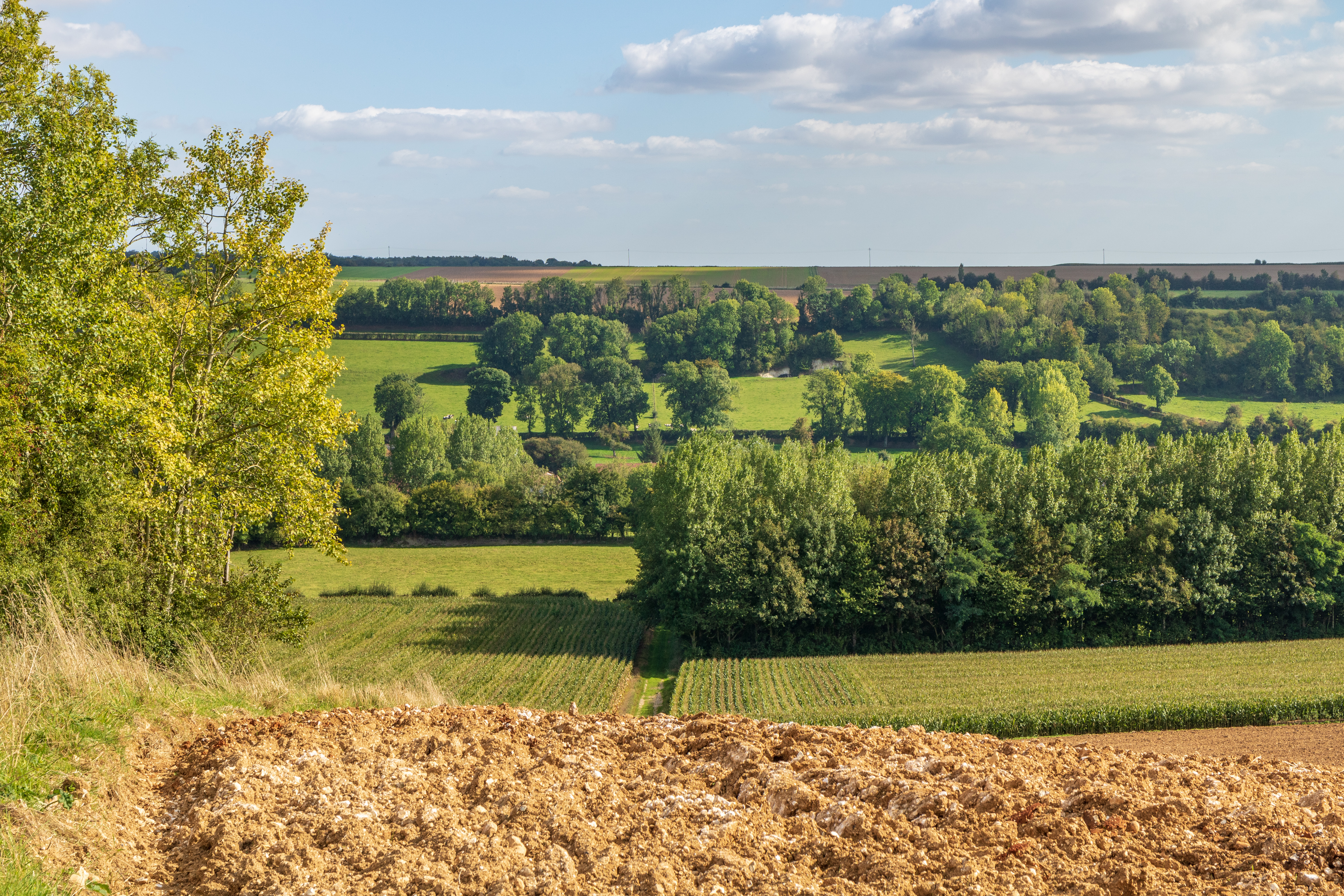 Conjuguer agriculture et protection des écosystèmes