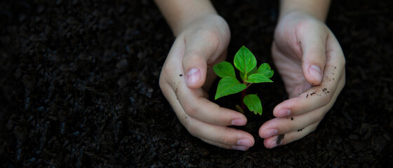 BRLI : un savoir-faire au service de la protection de la biodiversité