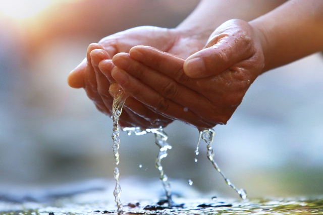 L'eau comme vecteur de santé humaine, animale et environnementale