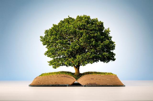 Droit de la nature, droit des écosystèmes