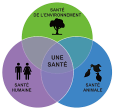Retours d'expérience de collectivités dans la mise en oeuvre de l'approche One Health