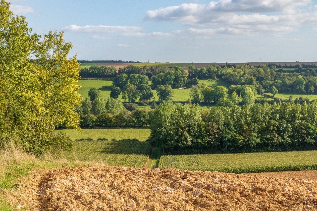 Conjuguer agriculture et protection des écosystèmes