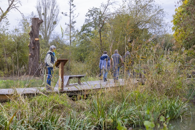 Visite de terrain n°1 : La Réserve naturelle régionale du Marais de Taligny 