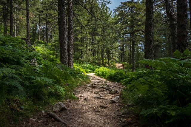 Table ronde : Pourquoi la nature est-elle le fondement de la politique One Health ?