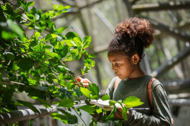 Les différents moyens de sensibilisation et de formation des citoyens aux enjeux de préservation de la biodiversité 