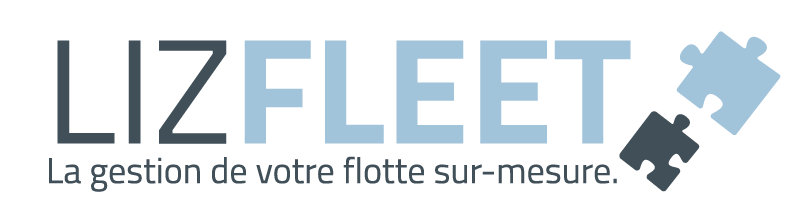 Lizfleet