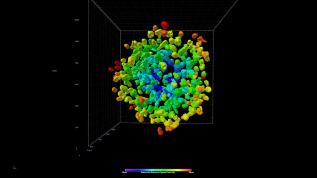 LSM Lightfield 4D