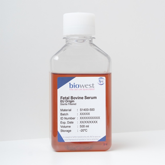 Sérum de Veau Fœtal (SVF)