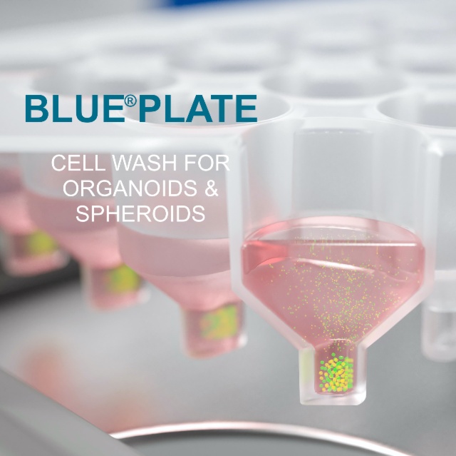BluePlate