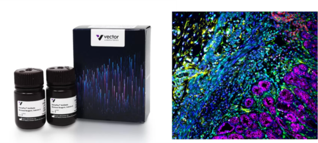 VectaPlex ™ 