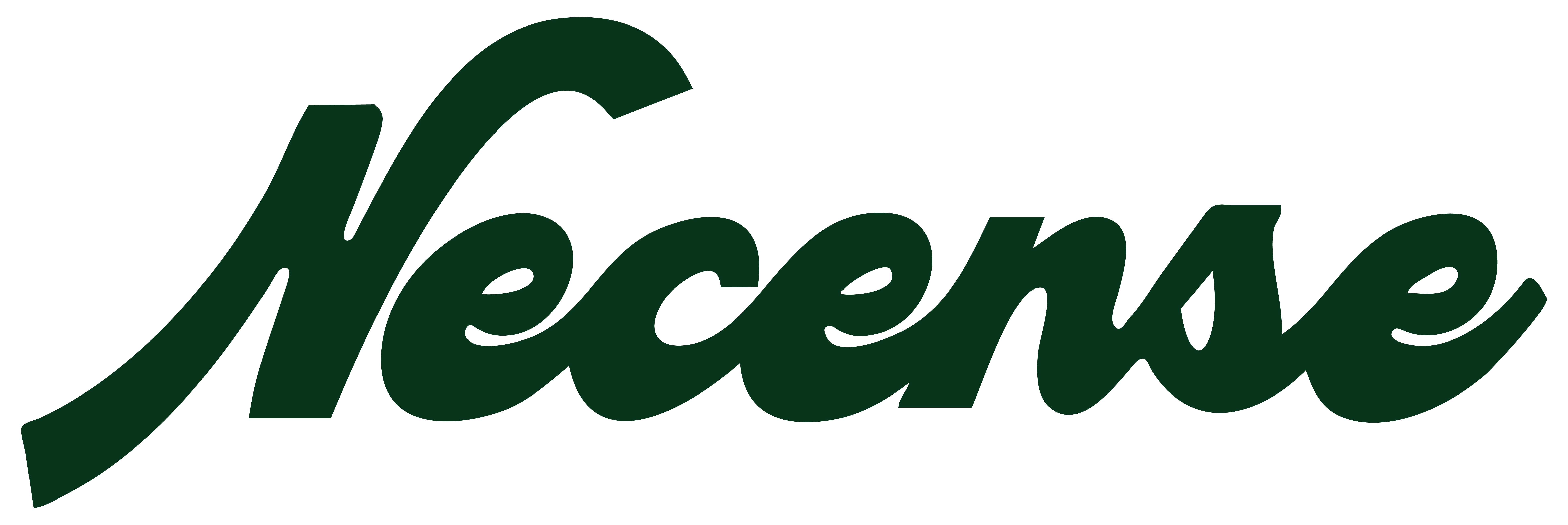 NECENSE
