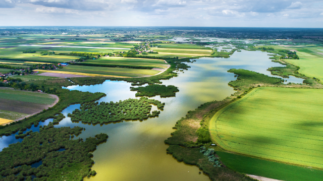 La biodiversité : une richesse essentielle pour nos territoires ?