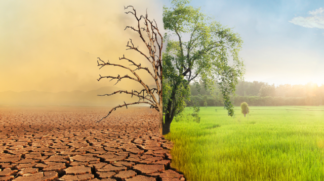 Plénière - Où nous mène le changement climatique en cours ? 