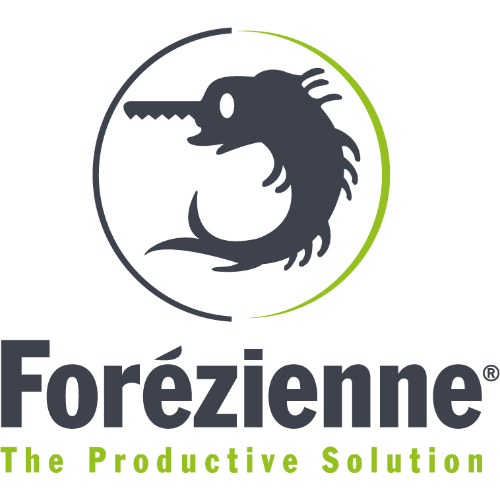 FOREZIENNE MFLS