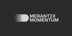 Merantix Momentun