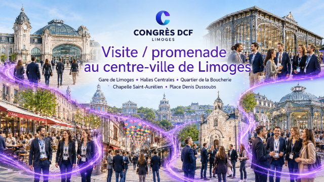 Visite de la ville 