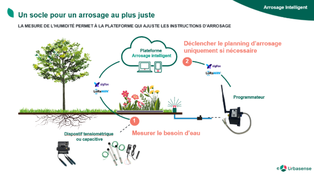 Arrosage intelligent