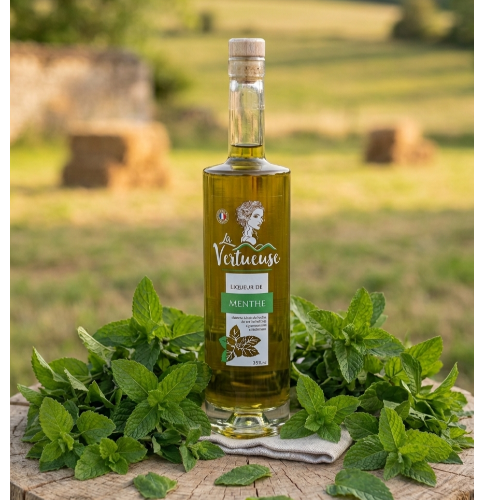 Liqueur de menthe digestive 35°
