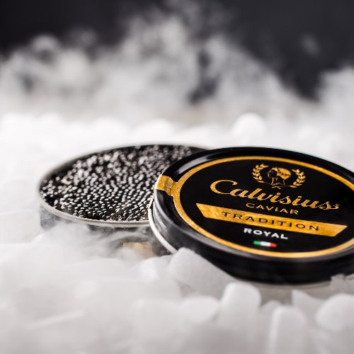 Calvisius Tradition Elite