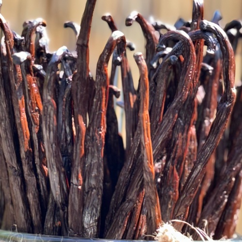Gousses Vanilles Noires Gourmet Grand Cru