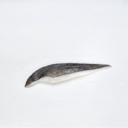 Turbot, filet avec peau