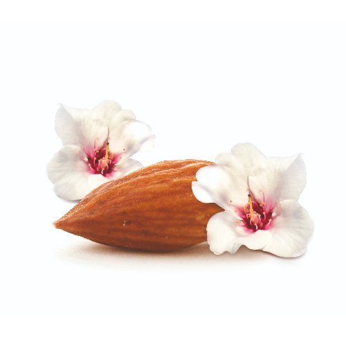 Pâtes et fruits à coque