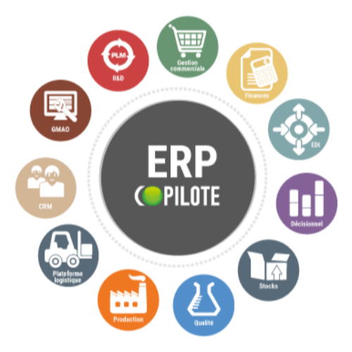 ERP COPILOTE
