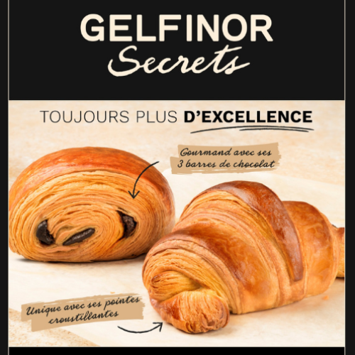 GAMME SECRETS GELFINOR