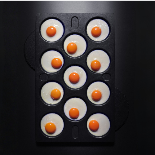 11 Mould Tray