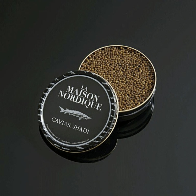 CAVIAR SHADI