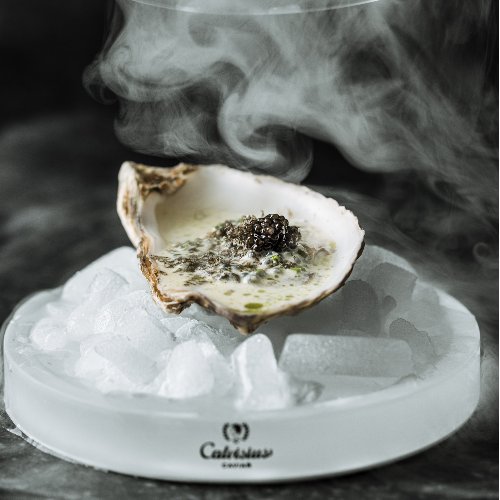 Calvisius Essentia
