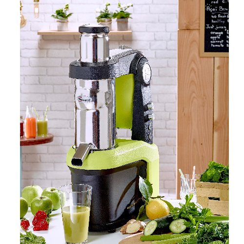 Extracteur de jus à pression lente n°65